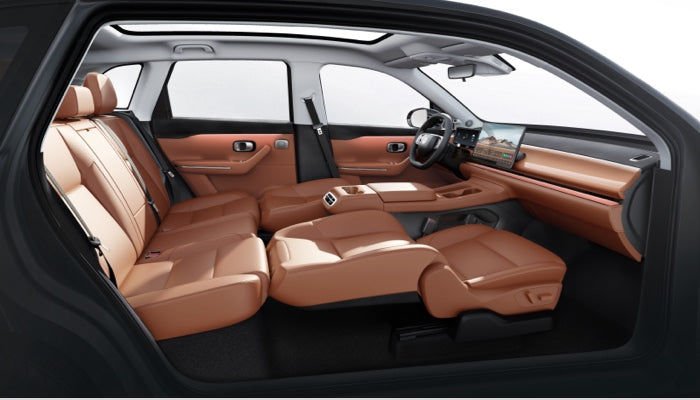 Leapmotor C10 Interior Accessories