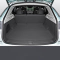 Leapmotor Full Coverage Trunk Mat