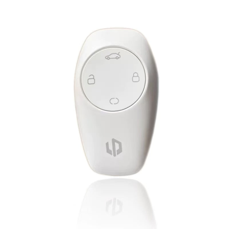 Leapmotor Key Replacement