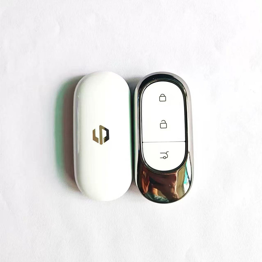 Leapmotor Key Replacement