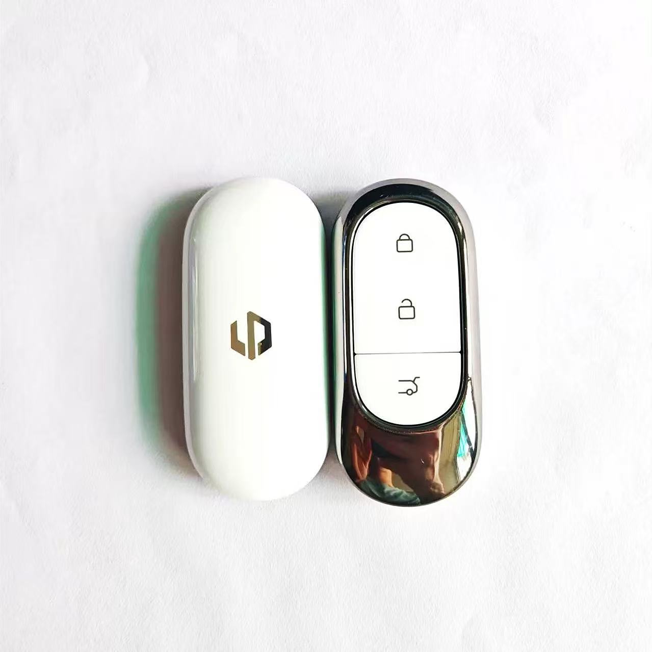 Leapmotor Key Replacement