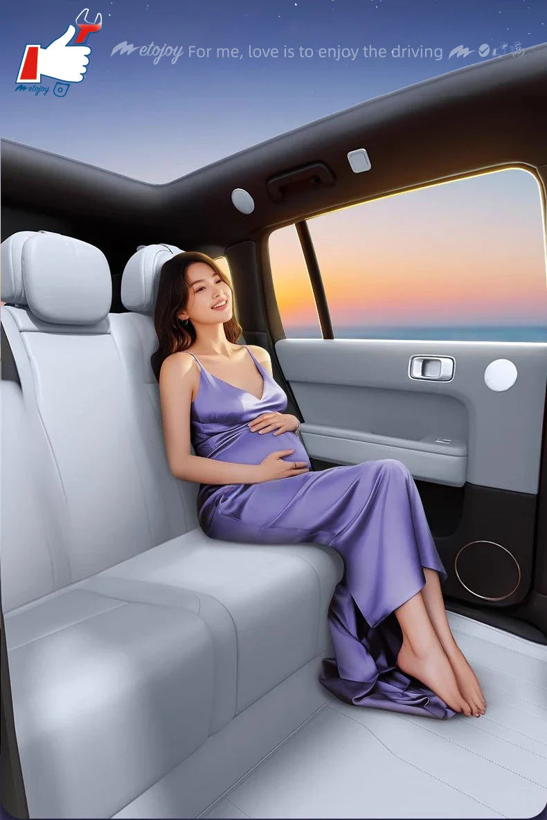 LHD Car Floor Mat For Leamotor T03