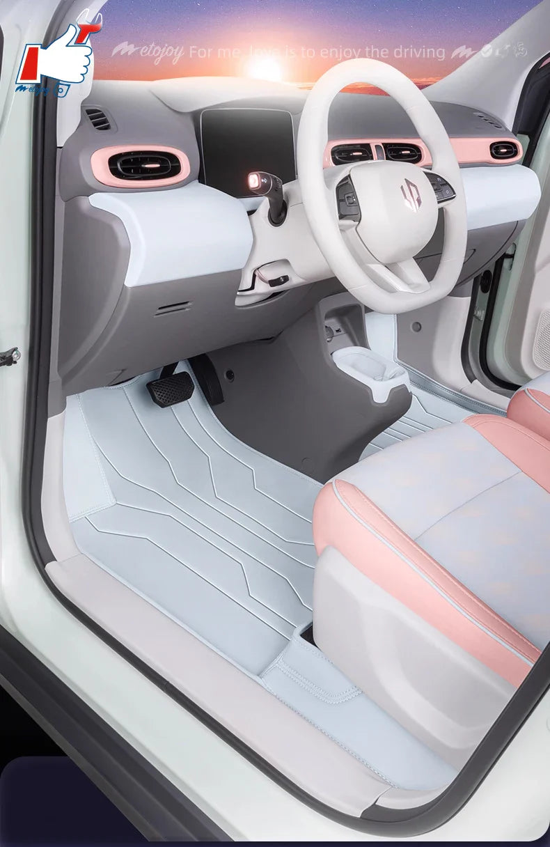 LHD Car Floor Mat For Leamotor T03