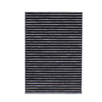 Activated Carbon Air Cabin Filter For Leapmotor T03 2021- BNBMF178AA1 MK9210